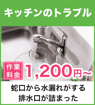 キッチン（台所）の蛇口の水漏れ修理 三田市